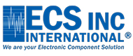 ECS Inc. International