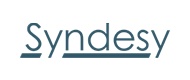 Syndesy Technologies, Inc. 